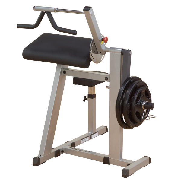 Body Solid Biceps & Triceps Machine (GCBT380)