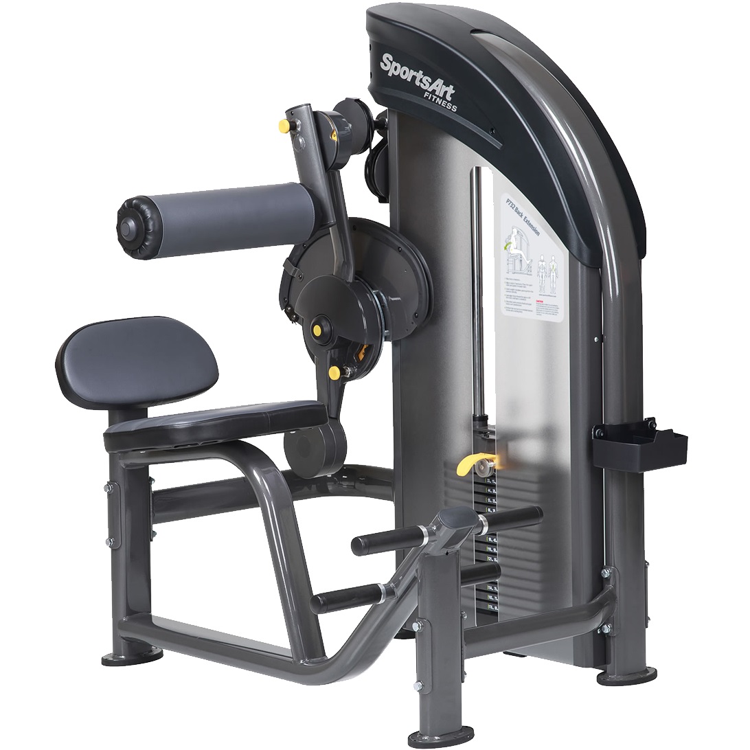 SportsArt P732 Back Extension