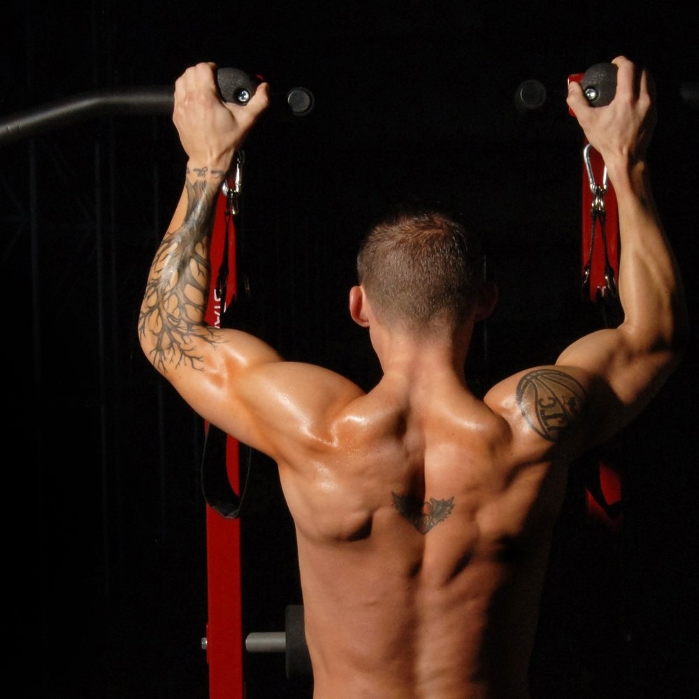 Stamina X Fortress Power Tower Stamina X Fortress Power Tower