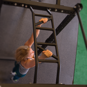 Body Solid Commercial Power Rack