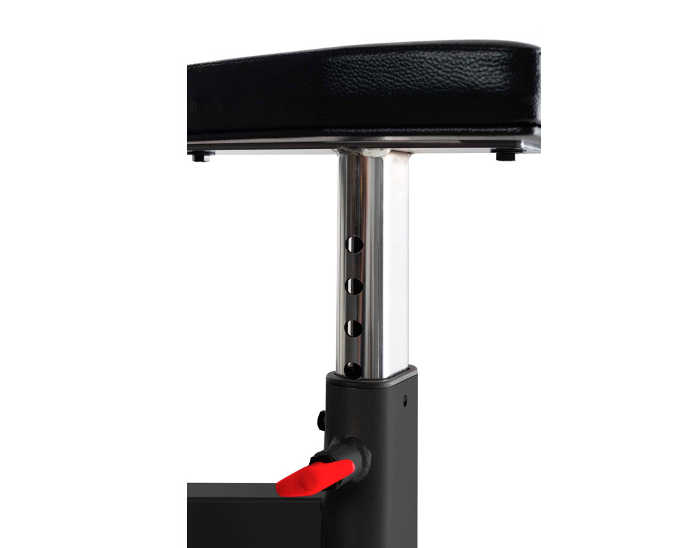 IF-Preacher Curl Bench