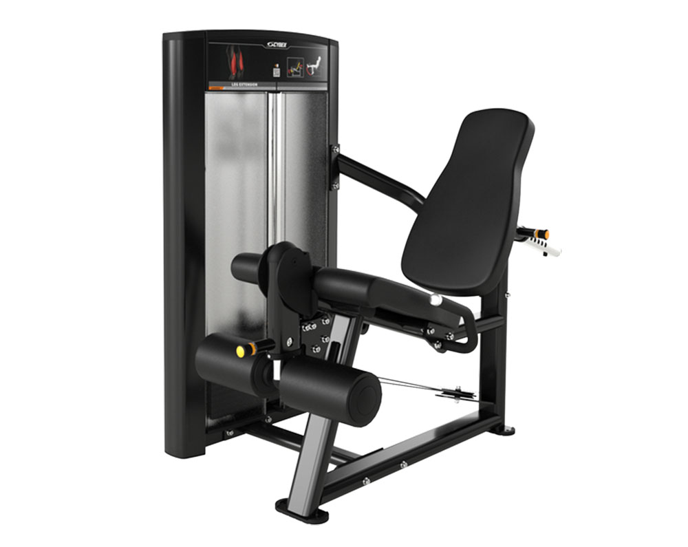 ion series leg extension