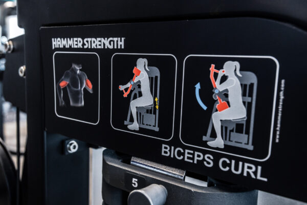 hammer-strength-select-bicep-curl-exercise-plate