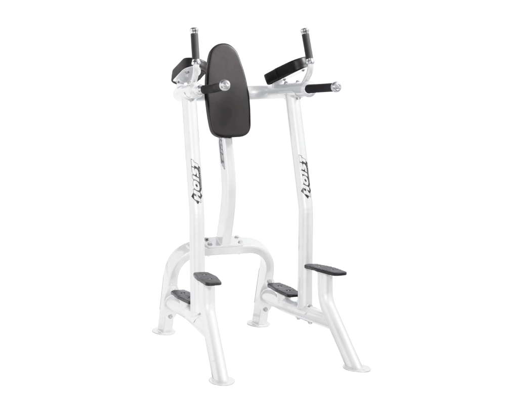 Hoist Fitness Commercial Vertical Knee Raise Dip CF-3252 (2)